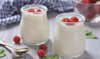 植物蛋白酸奶的营养价值（植物蛋白可以做酸奶吗）