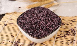 紫米的营养价值功效与作用（紫米的营养价值功效与作用图片）