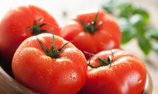 西红柿熟的和生的哪个有营养价值（西红柿生的和熟的哪个营养价值高）
