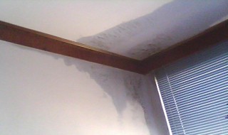 房屋漏水怎么修补 房屋漏水怎么修补最好