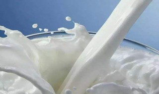 牛奶的营养成分 牛奶的营养成分表