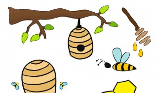 树新蜜蜂用英语怎么说 树新蜜蜂用英语怎么说之类的梗