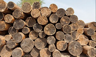 木材需要泡水多久才可以防裂 木材需要泡水多久才可以防裂缝