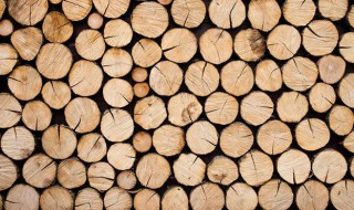 木材怎么储藏 木材怎么储藏不发霉