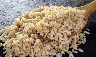 糙米怎么储藏 糙米怎么储藏不生虫