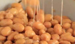 安琪酵母做纳豆的做法和配方 安琪酵母做纳豆的做法和配方视频