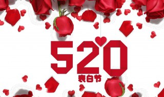 520表白的精选话 520表白语句汇总