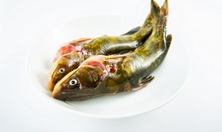黄颡鱼不适合什么人吃 为什么不建议吃黄辣丁