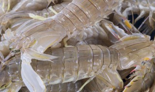 海龙虾怎么做好吃 海龙虾怎么做好吃又简单