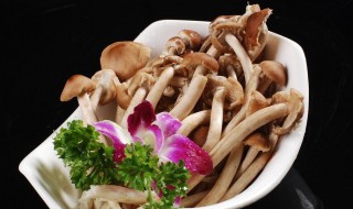 新鲜茶树菇怎么做好吃 新鲜茶树菇怎么做好吃法大全