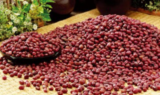 红小豆怎么做好吃 红小豆怎么做好吃家常做法