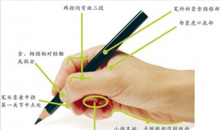 握笔的正确姿势 握笔的正确姿势视频教程