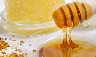 蜂蜜有什么功效和作用 喝土蜂蜜有什么功效和作用