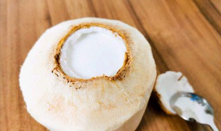 椰子冻的做法 椰子冻的做法最正宗的做法