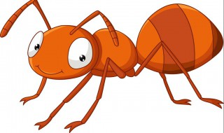 家里有小黄蚂蚁的原因 楼房内出现小黄蚂蚁是怎么回事