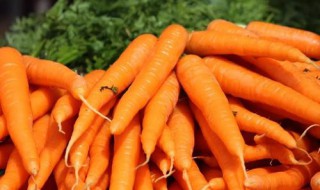 胡萝卜含有什么维生素 胡萝卜含有什么维生素e吗