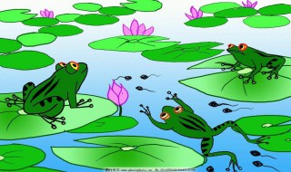 在夏天青蛙为什么会呱呱呱地叫个不停 在夏天青蛙会呱呱呱地叫个不停原因