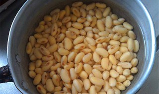 黄豆的功效与作用及食用方法 黄豆的功效与作用及食用方法禁忌