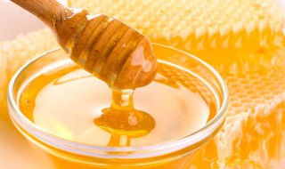 土蜂蜜的作用与功效（土蜂蜜的作用与功效七个功效）