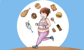 怎样饮食减肥（怎样饮食减肥最快）