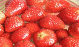 草莓怎么加工储存 草莓可以怎么加工