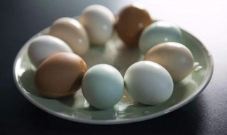 鸭蛋和鸡蛋什么营养（鸭蛋和鸡蛋什么营养价值高）