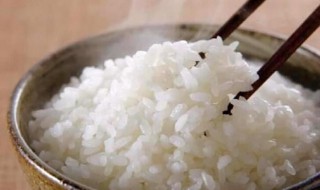 陈米怎么蒸米饭好吃 陈米怎么蒸米饭好吃视频