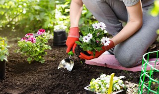 简述土壤养护的主要方法 简述土壤养护的主要方法有