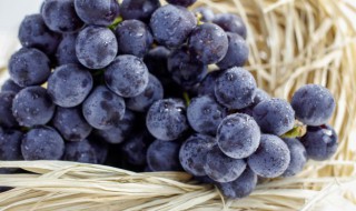 葡萄的保存技巧 葡萄的保存方法以及注意细节