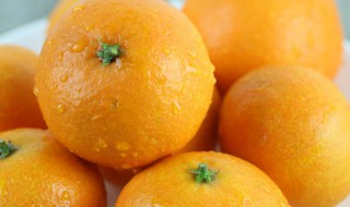 橘子的保存方法和技巧（橘子的保存方法和技巧图片）