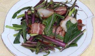 菜苔怎么炒好吃 菜苔怎么炒好吃又简单