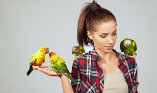 保护鸟类的内容 保护鸟类的内容有哪些