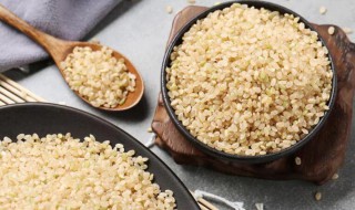 糙米怎么吃减肥最快 糙米饭一周吃几次最好