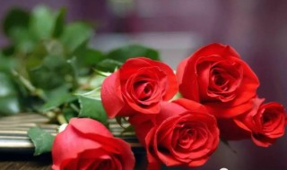 红玫瑰花语是什么意思 白玫瑰花语是什么意思