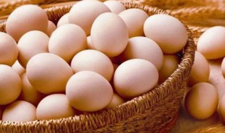 笨鸡蛋和普通鸡蛋营养价值一样吗（笨鸡蛋和普通鸡蛋区别）