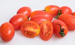 小西红柿是转基因的吗（黄色的小西红柿是转基因的吗）