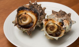 海螺煮多长时间最合适及哪些部位不能吃 海螺要煮多长时间