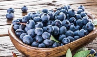 蓝莓功效 蓝莓功效与作用营养价值