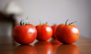 西红柿可以减肥吗（西红柿可以减肥吗瘦肚子吗）