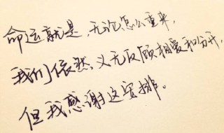 温暖的话语 温暖的话语作文800字