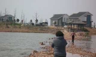 常在河边走哪有不湿鞋是谁写的（常在河边走,哪有不湿鞋哲学道理）