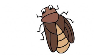 有蟑螂爬到床上怎么办 蟑螂爬到床上怎么办喷酒精