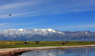 十大情侣旅游景点（情侣旅游必去十大景点）