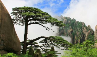 黄山景点介绍 黄山景点介绍每处特点