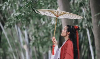 写春雨的诗句 写春雨的诗句古诗