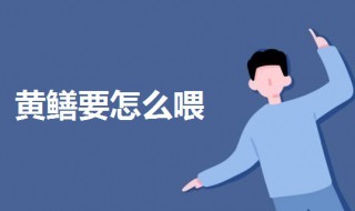 黄鳝要怎么喂（黄鳝怎么喂养?小黄鳝吃什么样的鱼?）