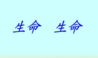 杏林子关于生命的名言（杏林子生命生命读后感400字）