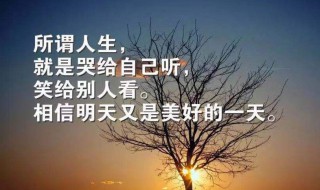 清晨发的优美句子朋友圈（清晨发的优美句子朋友圈说说）