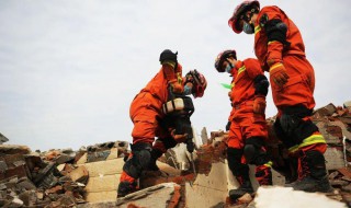 地震感人事迹（地震感人的真实故事100）