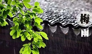 2021年的梅雨季节是什么时间 2021年的梅雨季节是从什么时候开始